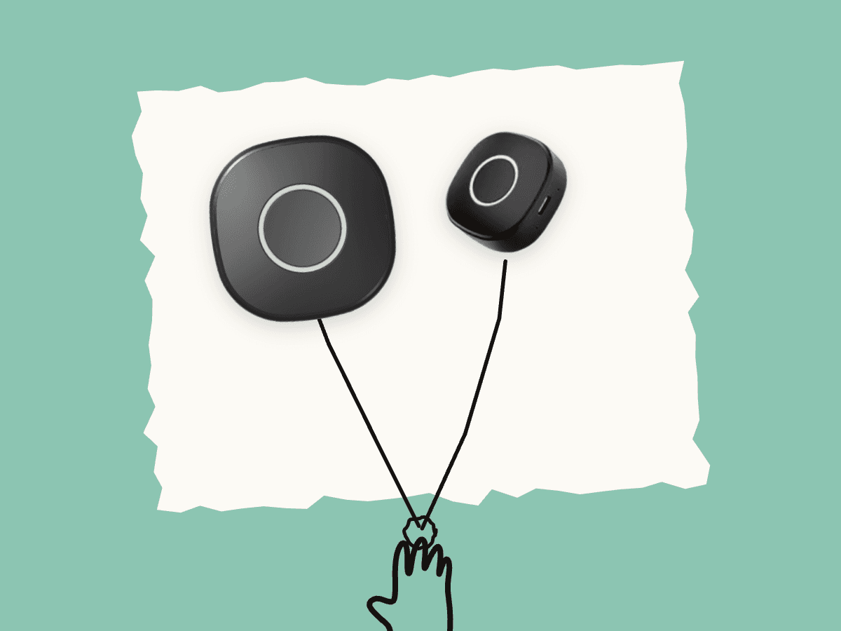 Two StepSafe SS-01 devices